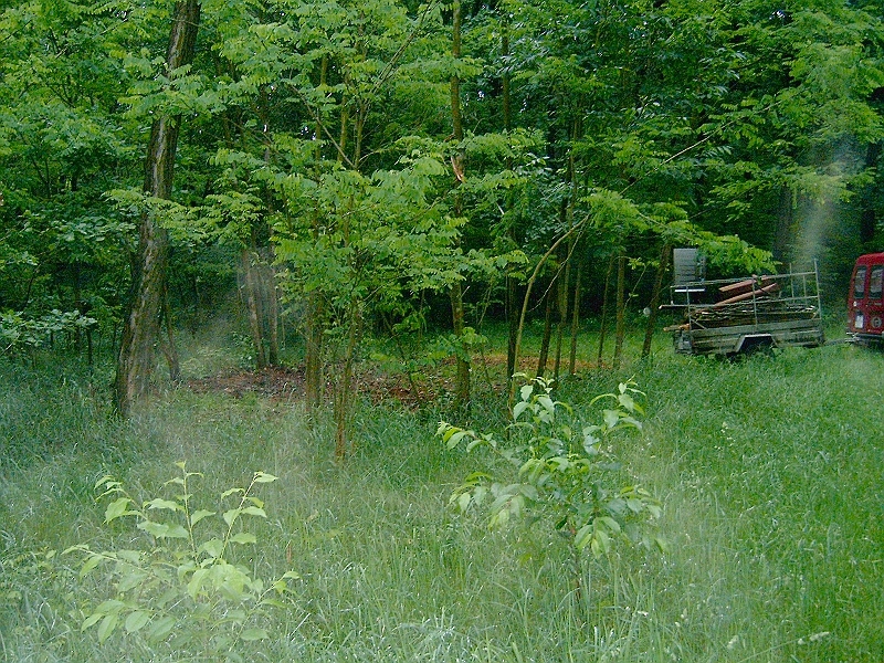 20100601 013.jpg
